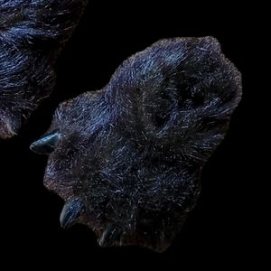 Adorable 3+ Bear Slippers